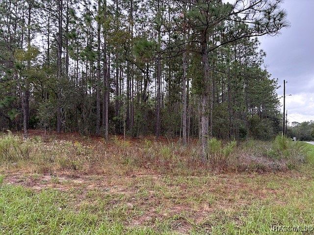 1st image of 1390 W Japonica Pl