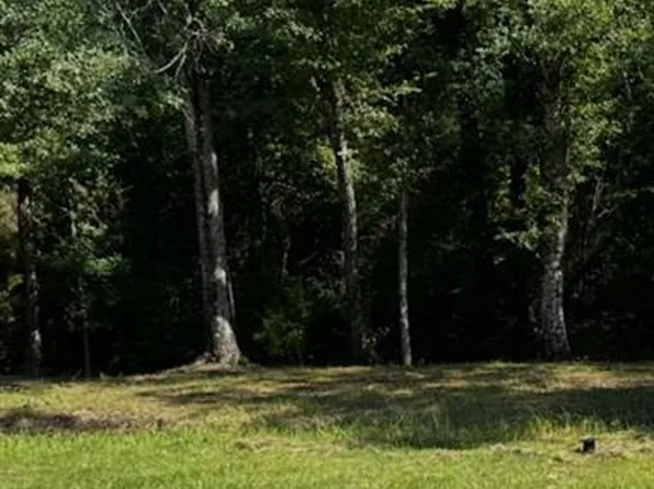 0 Celeste Rd, Saraland, AL 36571