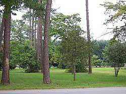 golf course view