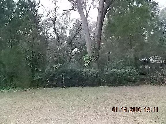 5th image of 16600 Forest Park Dr