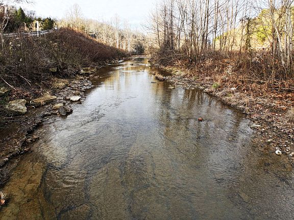 5th image of 91 Quinton Callahan Rd