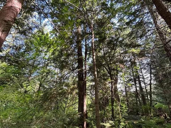 9063 Paradise Valley Rd, Squamish, BC V0N 1H0