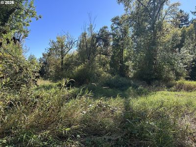 0 Monroe Cemetery Rd, Monroe, OR, 97456