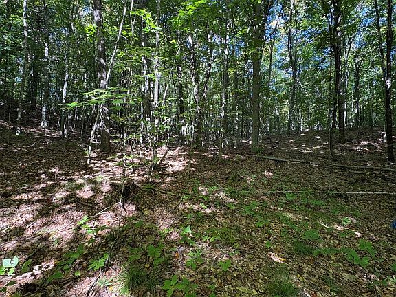 5th image of Bear Cave Rd