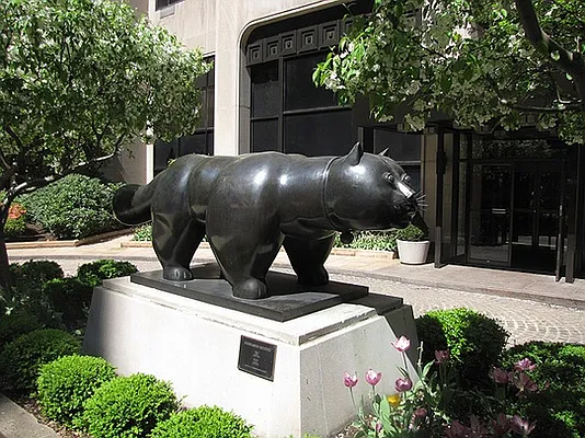 Sold by Stribling | media 10