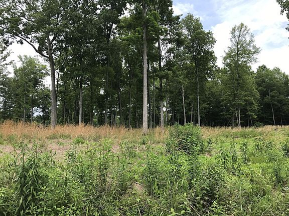 3rd image of 133 Bluebird Ln