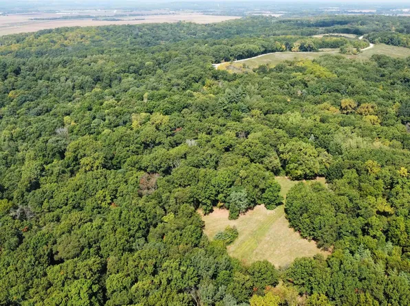 Three Mile Rd, Thomson, IL 61285