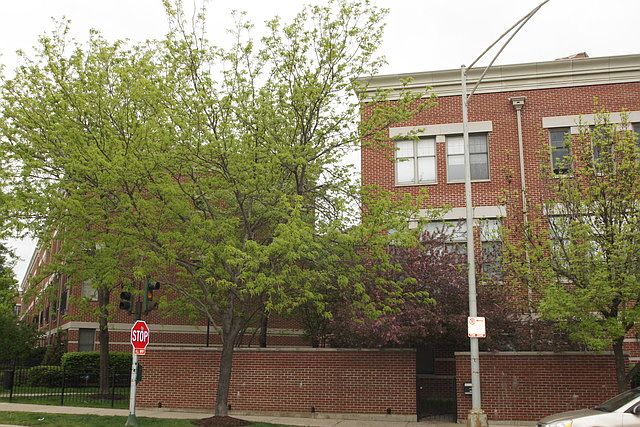 1st image of 842 N Ogden Ave