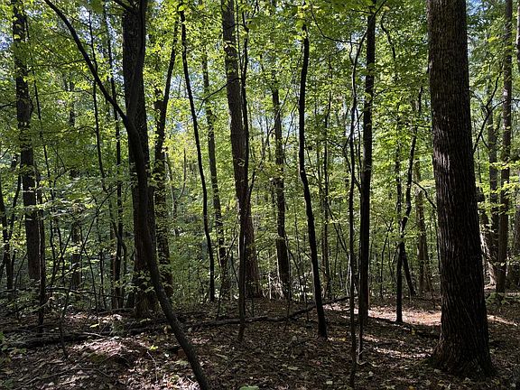 2nd image of J349 Mountain View Ct