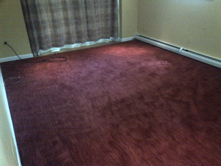 Ground Floor Bedroom #1.