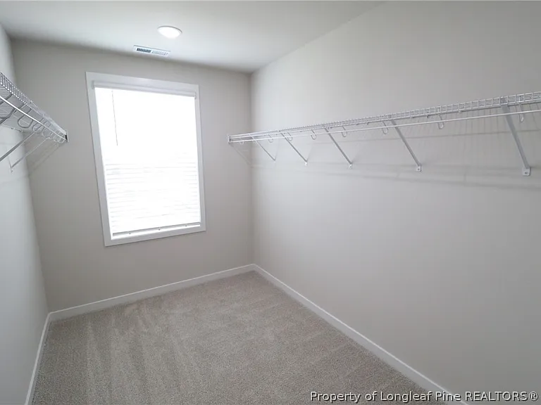4121 Hazel Branch Way — Photo 24