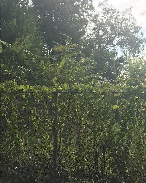 2nd image of 3031 Winthrop Ave