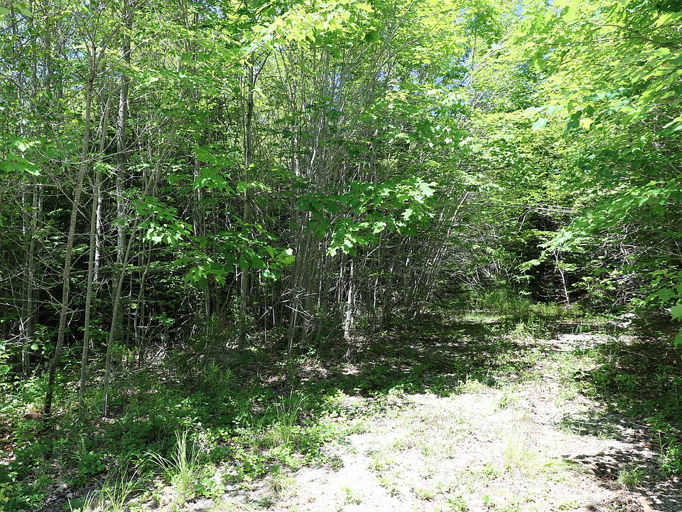 2nd image of 11 Sunfish Ln