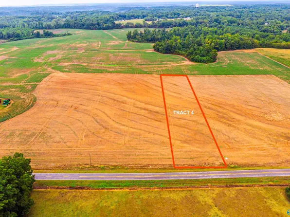 TRACT 4 Salem Minor Hill Rd, Lester, AL 35647