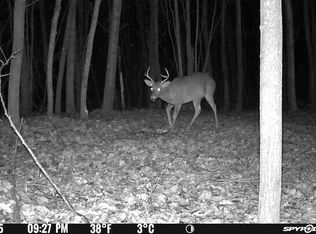 4100 Long Lake Rd, Cheboygan, MI 49721