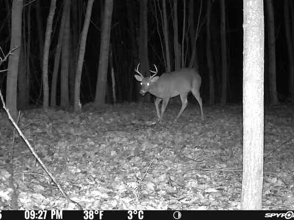 4100 Long Lake Rd, Cheboygan, MI 49721