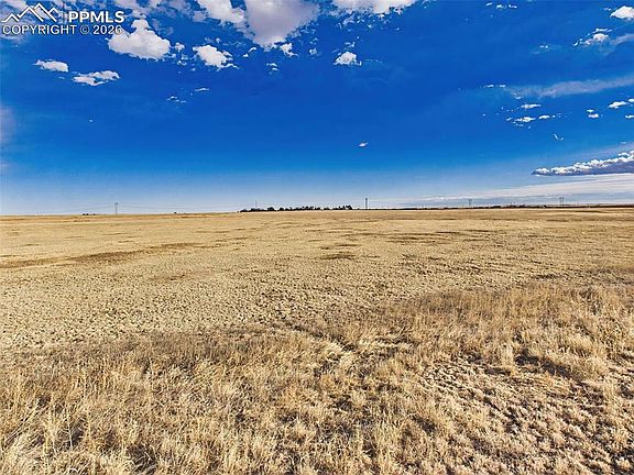 4th image of 251 Blue Duck Way