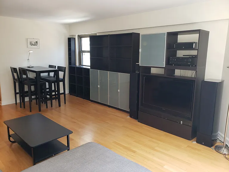 535 N Michigan Ave #1508 — Photo 4