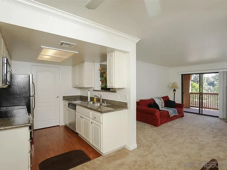 12019 Alta Carmel Ct #272 — Photo 4