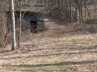 233 McGuire Rd, Elk Park, NC 28622