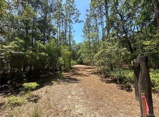 3792 S Reflection Ave, Inverness, FL 34450