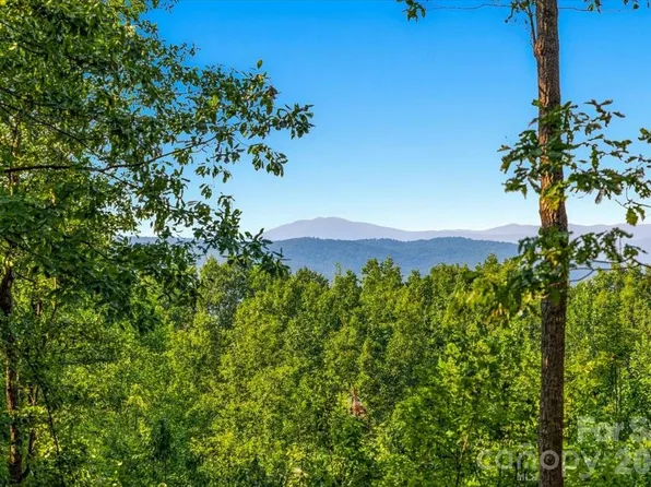 207 Mossy Oak Trl #166, Nebo, NC 28761