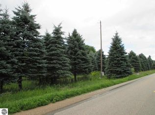 6770 Tamarack Rd, Lakeview, MI 48850