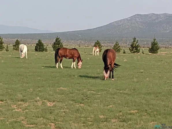 32 County Road 28, Stanley, NM 87056