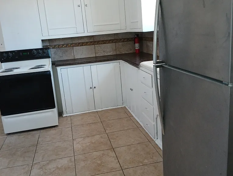 221 W 3rd St — Photo 9