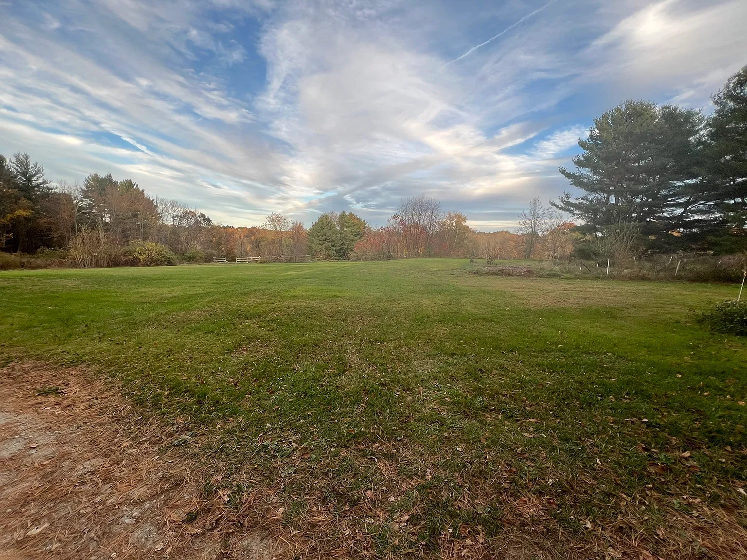 1 bed, 1.0 bath, 1000 sqft, $2,000 — Photo 2