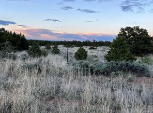 Forked Horn Lane Rd, Fence Lake, NM 87315