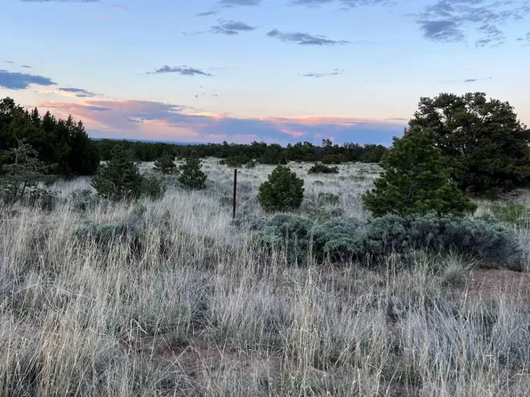 Forked Horn Lane Rd, Fence Lake, NM 87315