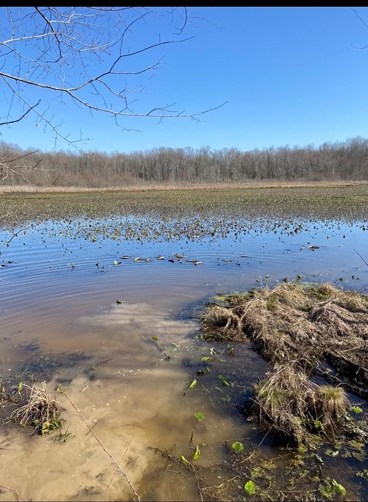 0 Herrondale East Rd, Henry, TN 38231 Zillow