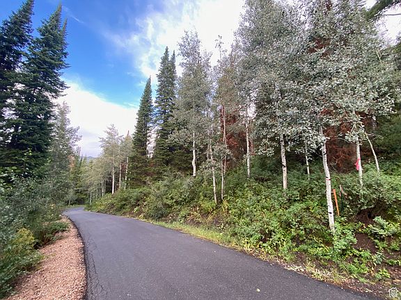 4th image of 551 Red Fir Way