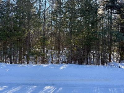 8320 Cordwood Trl, Cheboygan, MI, 49721