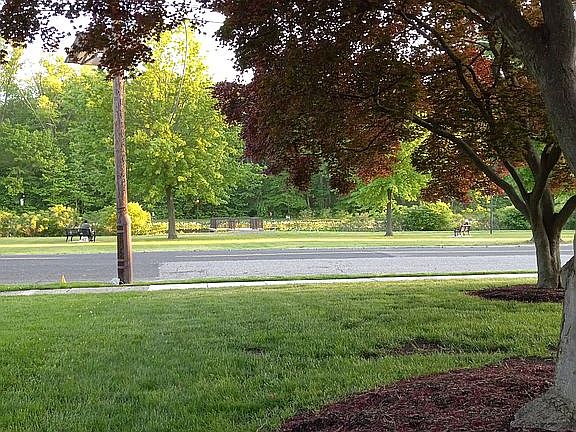 Park and lake view