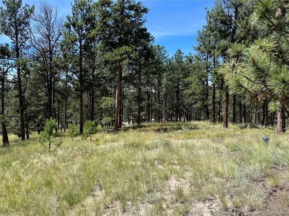 207 Monument Lane LOT 17, Florissant, CO 80816