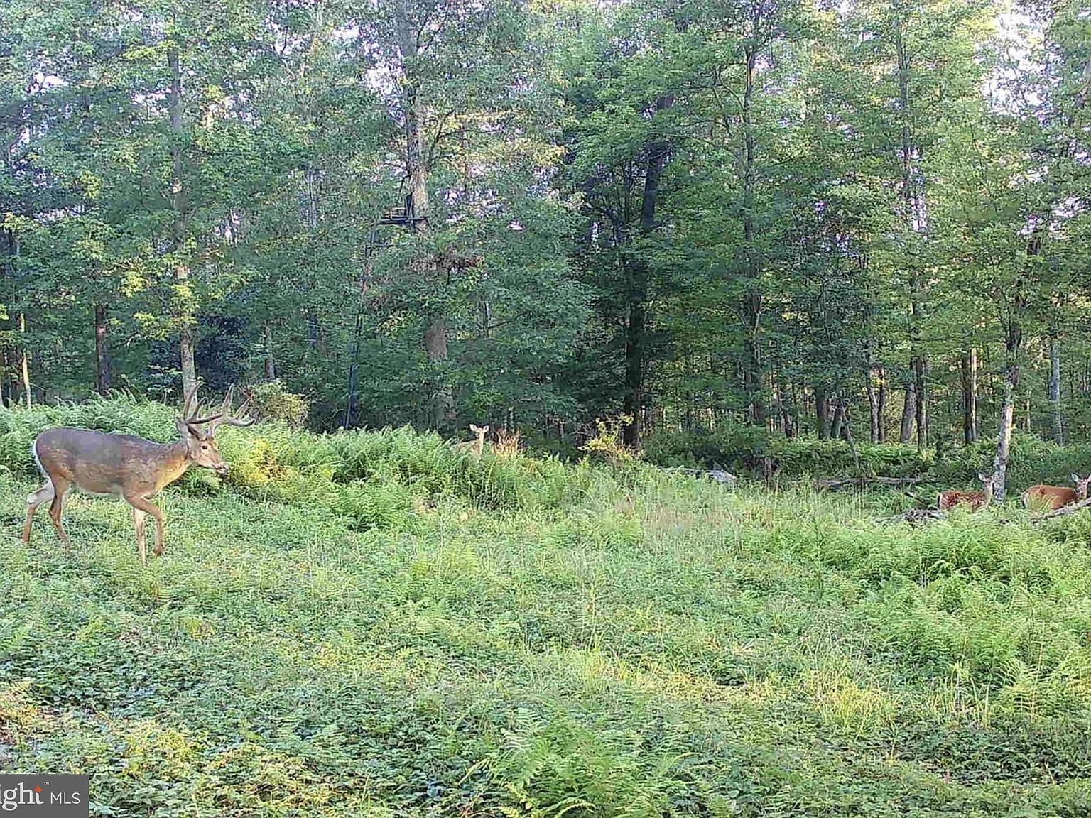 2900 County Line Rd, Fryburg, PA 16326 Zillow