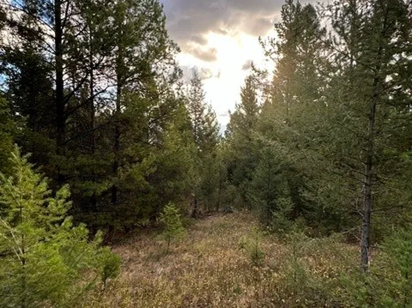 10 Black Pine Rd, Philipsburg, MT 59858