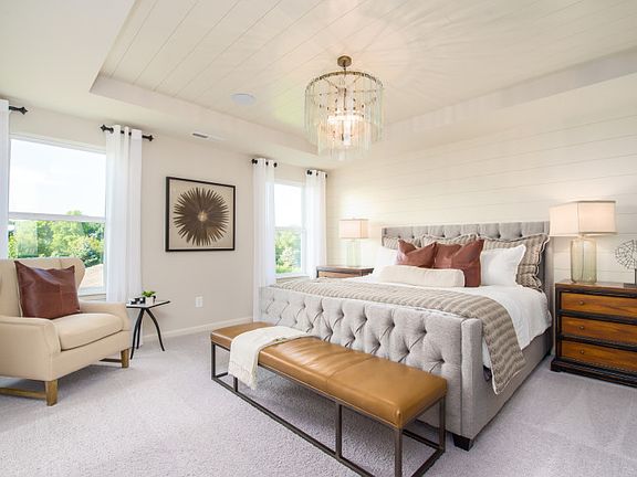 Model Representation