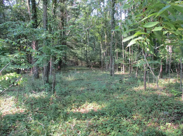 105th Ave Parcel 4, Pullman, MI 49450