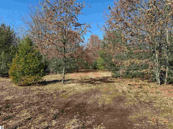 E Sanborn Rd, Lake City, MI 49651