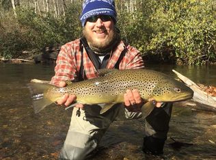 3 Tate Cove Rd, Hayesville, NC 28904