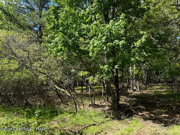 LOT EV1656 Maccauley Rd, Albrightsville, PA 18210