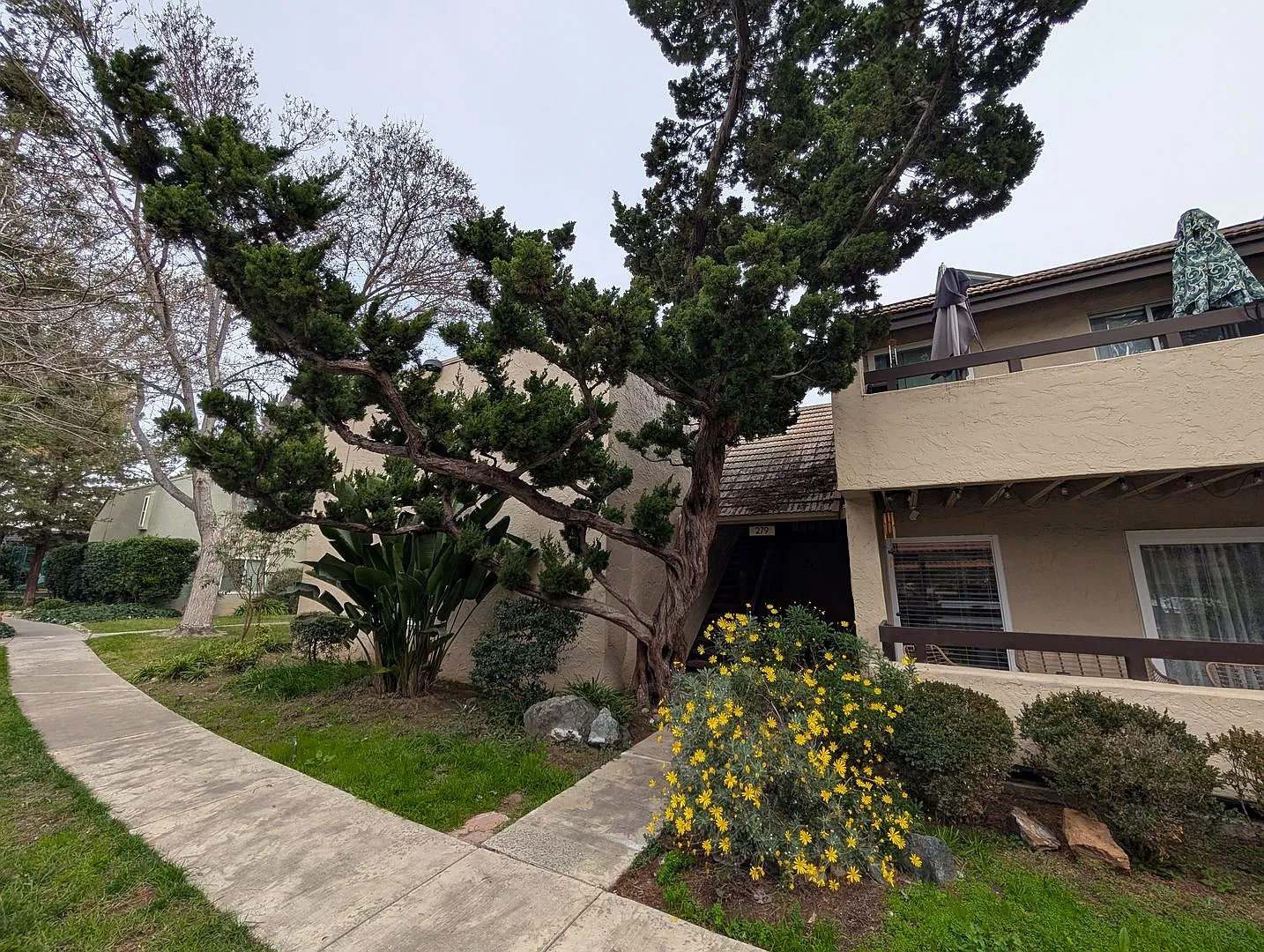 279 Tradewinds Dr #2 photo 1