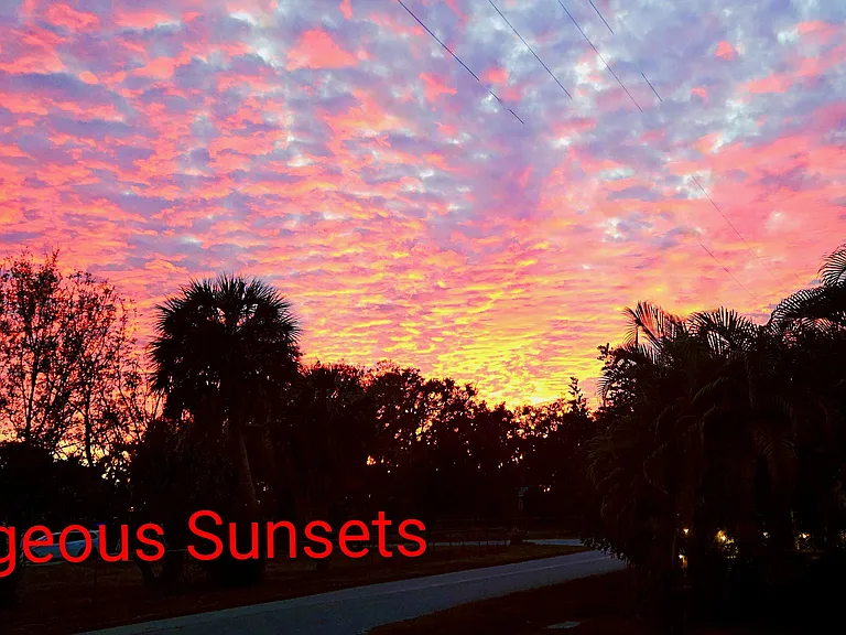 This could be your view from the front porch.