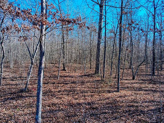 5th image of 141 Camp Creek Cir