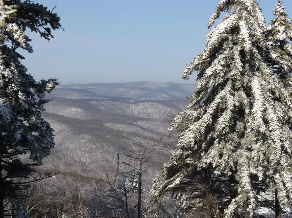 11 The Hutches, Snowshoe, WV 26209