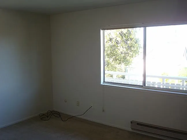 301 Belden St #2 — Photo 5
