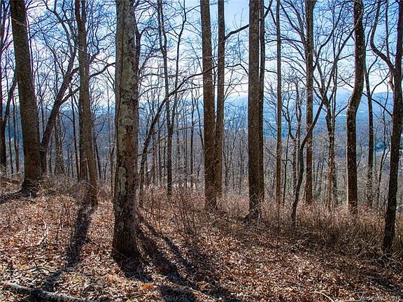 4th image of 99999 Old Forest Dr #4